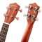 Ashthorpe Soprano Ukulele for Beginners, 21-inch 4 String Uke Starter Bundle Kit for Kids with Gig Bag, Cloth, and Picks